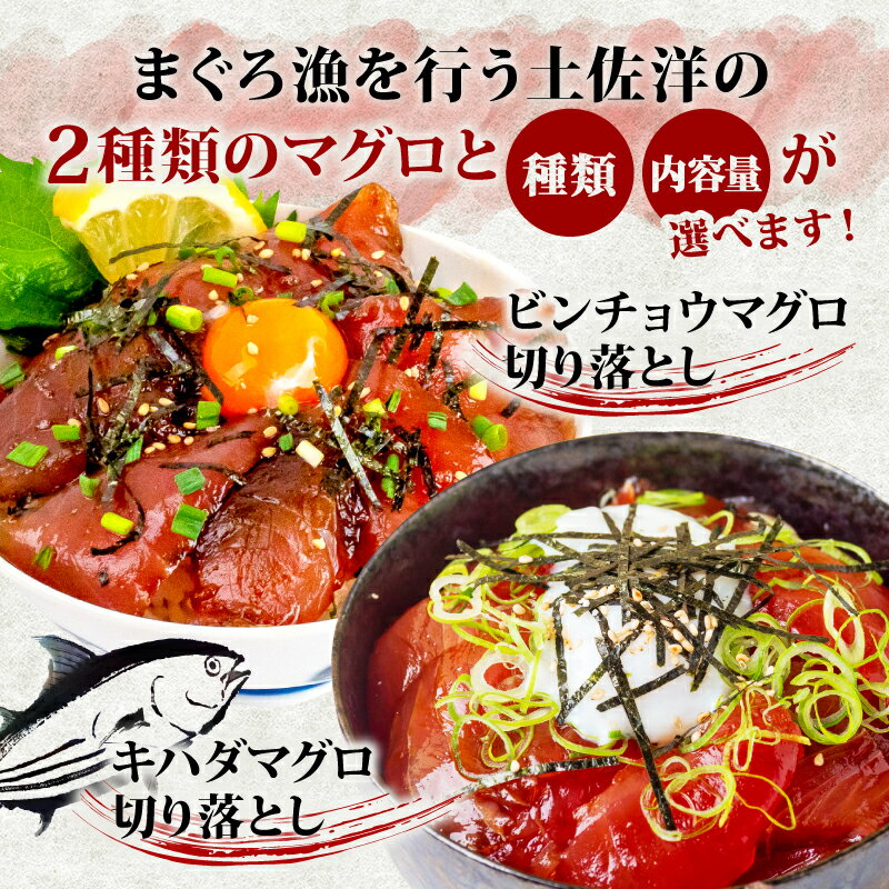 【ふるさと納税】 訳あり マグロ 切り落とし 500g～1.5kg キハダマグロ ビンチョウマグロ 選べる 種類 容量 食べ比べ 不揃い パック 小分け 鮪 アレンジ 豊富 海鮮 丼 海鮮丼 サラダ 刺身 漬け丼 お茶漬け 新鮮 鮮魚 本場 高知県 須崎市 TY062