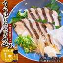 【ふるさと納税】 うつぼ の たたき こだわり 柚子 ポン酢 セット 土佐の名物 タタキ ウツボ 皿鉢 コラーゲン スーパーフード ポン酢 柚子 調味料 ふるさ...