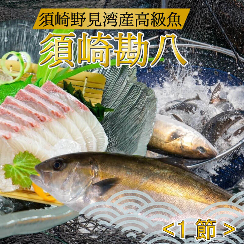 【ふるさと納税】 カンパチ 勘八 1節 300～400g 神経締め 高級 魚 産地直送 刺身 ぶりしゃぶ 照り焼き 刺し身 高知県 須崎市