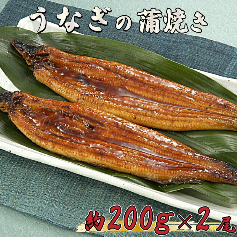 【ふるさと納税】うなぎ 鰻 蒲焼 約 200g 2尾 減塩 