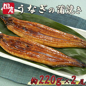 【ふるさと納税】うなぎ 国産 高知県産 鰻 蒲焼 約 220g × 2尾 減塩 醤油 ベース 蒲焼きのタレ 付き 養殖 高知県 須崎市