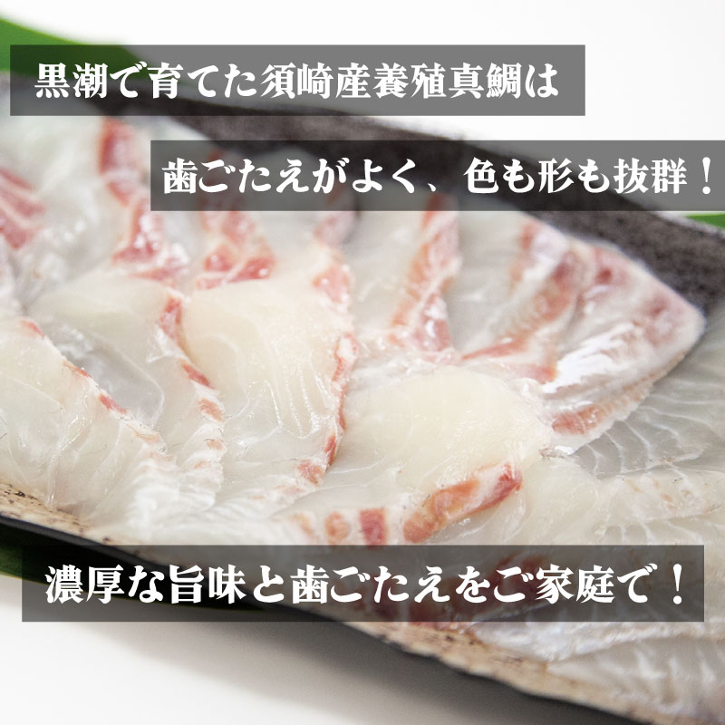 【ふるさと納税】 真鯛 しゃぶしゃぶ 用 20切 昆布付き 鍋 たい 魚介類 刺身 包丁いらず 手軽 養殖 高知県 須崎市