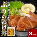 【ふるさと納税】【 高知産 】 ブリ 漬け丼 3パック 産地直送 海鮮 丼 醤油漬け 活き締め ブリ ぶり 惣菜 漬丼 お手軽 おかず 魚 刺身 小分け ギフト...