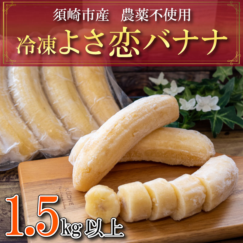 2位! 口コミ数「3件」評価「4.67」 バナナ 1.5kg 冷凍 国産 果物 くだもの フルーツ ばなな よさ恋バナナ 800g × 2 高知県 須崎