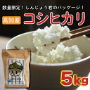 【ふるさと納税】 数量限定 新米 コシヒカリ 5kg 令和5年 白米 精米 米 こしひかり ブランド米 国産 高知県 須崎 しんじょう君 産地直送