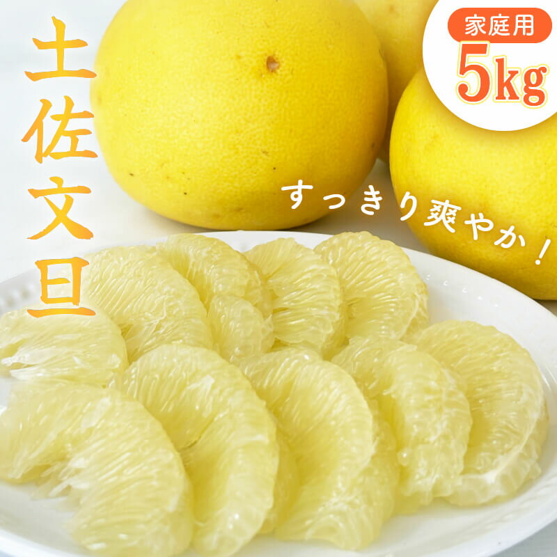 【ふるさと納税】 【 2月上旬 から 発送 】 訳あり 文旦 5kg 家庭用 L 〜 2L サイズ混合 早期予約 予約受付中 土佐文旦 ぶんたん みかん 柑橘 ...