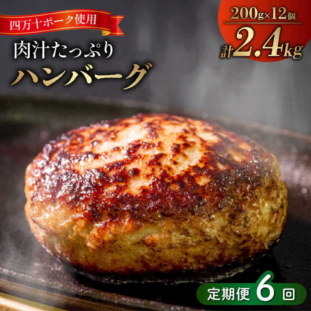 6ヶ月 定期便 四万十 ポーク 入り ハンバーグ 2.4kg ( 200g × 12個 ) 6回 冷凍 真空 小分け 個包装 肉汁たっぷり 大容量 合挽き 牛肉 豚肉 お弁当 おかず 惣菜 晩ごはん 贅沢 SNM1000人気ランキング 食品 お肉 お楽しみ バラエティ おすすめ 6回