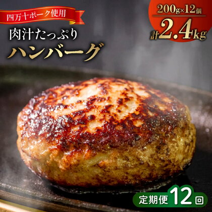 12ヶ月 定期便 四万十 ポーク 入り ハンバーグ 2.4kg ( 200g × 12個 ) 12回 冷凍 真空 小分け 個包装 肉汁たっぷり 大容量 合挽き 牛肉 豚肉 お弁当 おかず 惣菜 晩ごはん 贅沢 SNM2000人気ランキング 食品 お肉 お楽しみ バラエティ おすすめ 12回