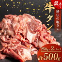 【ふるさと納税】 訳あり 牛タン 味付け 塩ダレ 500g 250g 2パック バーベキュー BBQ 焼肉 タン 塩 焼き肉 牛 肉 小分け 冷凍 ワケアリ 高知県 須崎市 SNM002