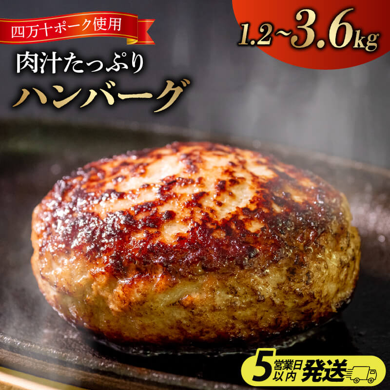 【ふるさと納税】 ハンバーグ 四万十ポーク 入り 選べる 容量 1.2kg 2.4kg 3.6kg ( 200g x 6個 ／ 12...