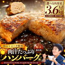 【ふるさと納税】 ハンバーグ 発送月が選べる 四万十ポーク 入り 1.2kg 2.4kg 3.6kg ( 200g x 6個 / 12個 /18個 ) 選べる 容量 個包装 化学調味料 不使用 保存料 無添加 高知県 須崎市 ブランド豚 合挽き ふるさと納税ハンバーグ (クラウドファンディング対象)