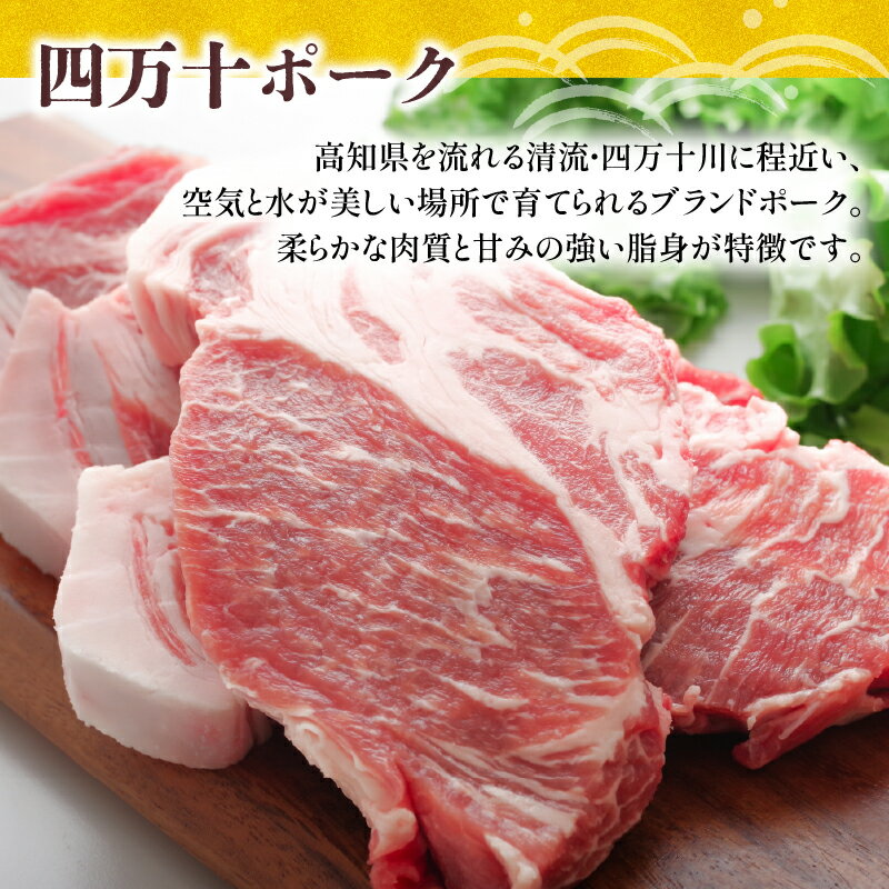 （三育フーズ）てり焼き野菜大豆バーグ　100g【ベジタリアン】|s60