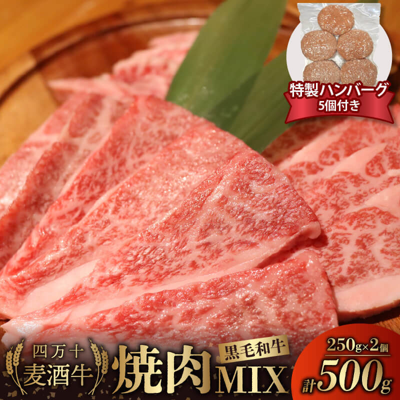 牛肉 焼肉用 ミックス 500g ( 250g × 2パック ) 合い挽きハンバーグ 150g × 5個 セット 冷凍 四万十麦酒牛