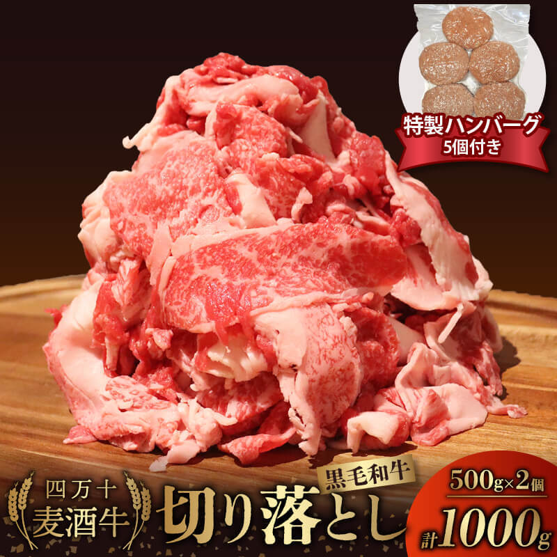 牛肉 切り落とし 1000g ( 500g × 2パック ) ハンバーグ 合い挽き 150g × 5個 セット 冷凍 四万十麦酒牛