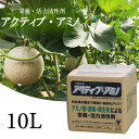 【ふるさと納税】 送料無料 活性剤 10L 1袋 「アクティブアミノ」 花 野菜 栄養剤 活力剤 須崎 高知 UB010