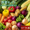 【ふるさと納税】 新鮮お野菜 12〜14品目 2人暮らしセット 詰め合わせ 季節 旬 新鮮 産地直送 春夏秋冬 旬 人気 ふるさと納税 野菜 ふるさと納税 セッ...