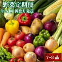 【ふるさと納税】 【2025年2月より順次発送】 数量限定 定期便 野菜 7~8品目 6回 偶数月発送 南国土佐の新鮮お野菜 詰め合わせ お楽しみ セット 詰め...