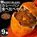 【ふるさと納税】カレーパン 食べ比べ セット 9個 焼き立て パン 詰め合わせ 職人 手作り 朝食 朝ご飯 モーニング おやつ ベーカリー 人気 詰め合わせ 家...