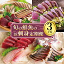 【ふるさと納税】 お刺身 定期便 3回 カツオ 鰹 フィーレ 炙り 刺身 刺し身 丼 寿司 海鮮 魚介 鮮魚 旬 ご飯に合う 米に合う コメに合う 冷蔵 高知県 須崎市 須崎魚商人組合 高知 須崎 GK2000