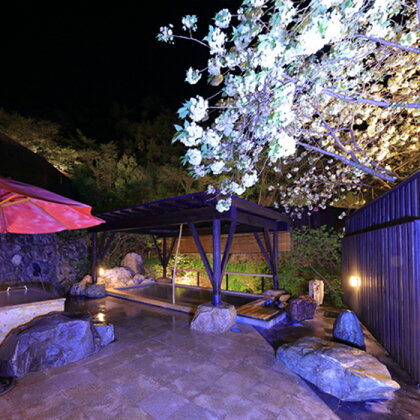 宿泊券 温泉 【千年の美湯、そうだ山温泉】本館、いろどりプラン(2食付き)2名様 平日ご利用券