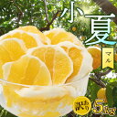 【ふるさと納税】 訳あり 小夏 ( 日向夏 ) 5kg ニューサマーオレンジ 無印 マル 等級 旬 高知 県 須崎 産 柑橘 初夏 フルーツ 果物 こなつ コナ...