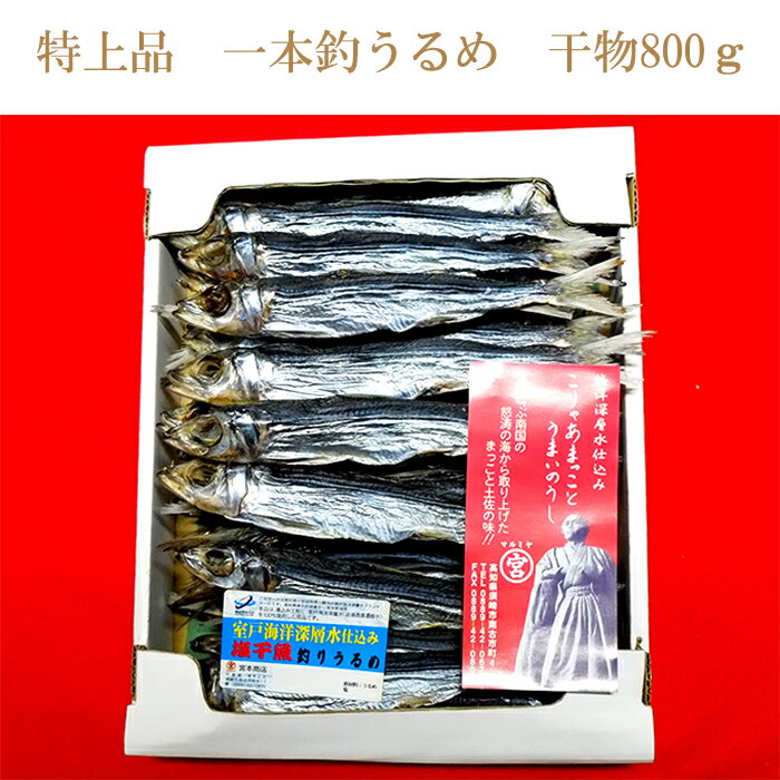 【ふるさと納税】 特上品 うるめいわし 900g 干物 鰯 ...