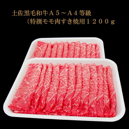 土佐黒毛和牛A5〜A4等級(特撰ウデ肉すき焼用600g×2
