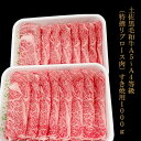 【ふるさと納税】 土佐黒毛和牛 A5 ~ A4 等級（特撰リブロース肉）しゃぶしゃぶ用 800g TM015