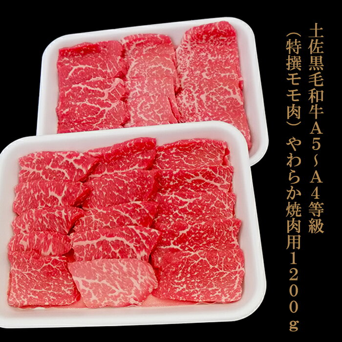 【ふるさと納税】 国産 霜降り 黒毛和牛 A4 ~ A5 等級 もも肉 1.2kg 国産牛 もも 牛肉 和牛 土佐黒毛和牛 最上位等級 霜降り肉 焼肉 バーベキュー BBQ 肉 冷凍 お歳暮 ギフト 高知 土佐 高知県…