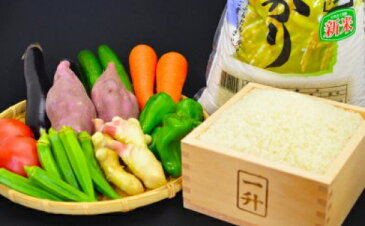 【ふるさと納税】（一年間毎月お届け）新鮮！ちょこっと野菜と高知県産コシヒカリ5kg