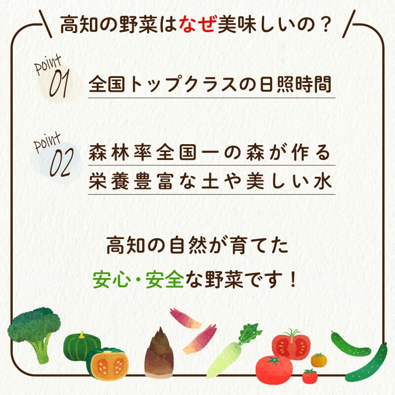 【ふるさと納税】 定期便 年 3回 旬 野菜 詰め合わせ セット 13品目程度 やさい 3ヶ月 毎月 届く 送料無料 AWA1000人気 ランキング 食品 お楽しみ バラエティ おすすめ 健康