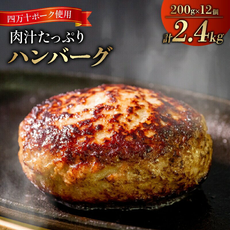 【ふるさと納税】 ハンバーグ 四万十ポーク 入り 2.4kg 200g 12個 個包装 化学調味料 不使用 保存料 ...