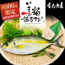 【ふるさと納税】 高級 シマアジ 美粕祇万アジ 250 ~ 500g フィーレ カマ アラ付 高級魚 刺身 刺身用 縞鯵 鯵 海鮮 鮮魚 新鮮 魚介 冷凍 魚 さかな 小分け 高知県 須崎市 SCM001-all