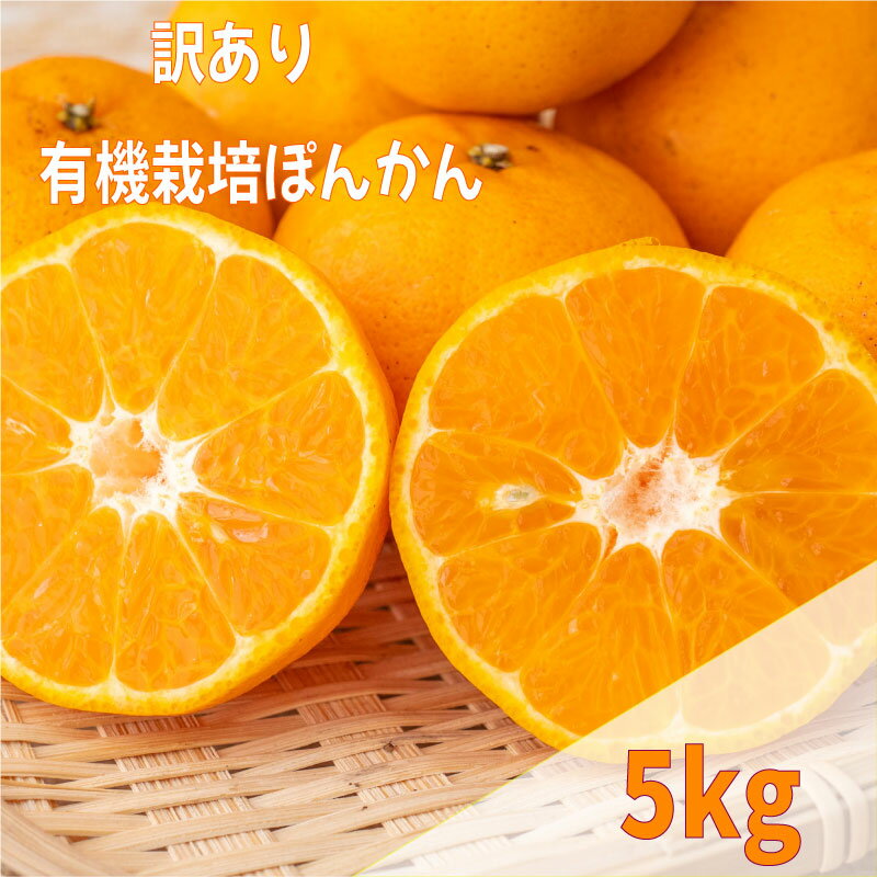【ふるさと納税】 【早期予約 2025年2月上旬より順次発送】 訳あり ぽんかん 5kg サイズ混合 オーガニック 無農薬 防腐剤 不使用 有機 JAS認定 柑橘 みかん 蜜柑 家庭用 TJ0021のサムネイル
