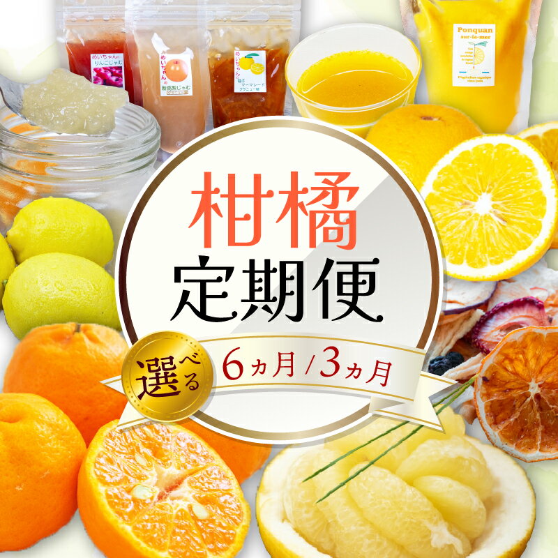 【ふるさと納税】 柑橘 定期便 3回 6回 3~6ヶ月 果物 ジュース ジャム ドライフルーツ オーガニック 防腐剤 不使用 いちご ブルーベリー 梨 みかん ...