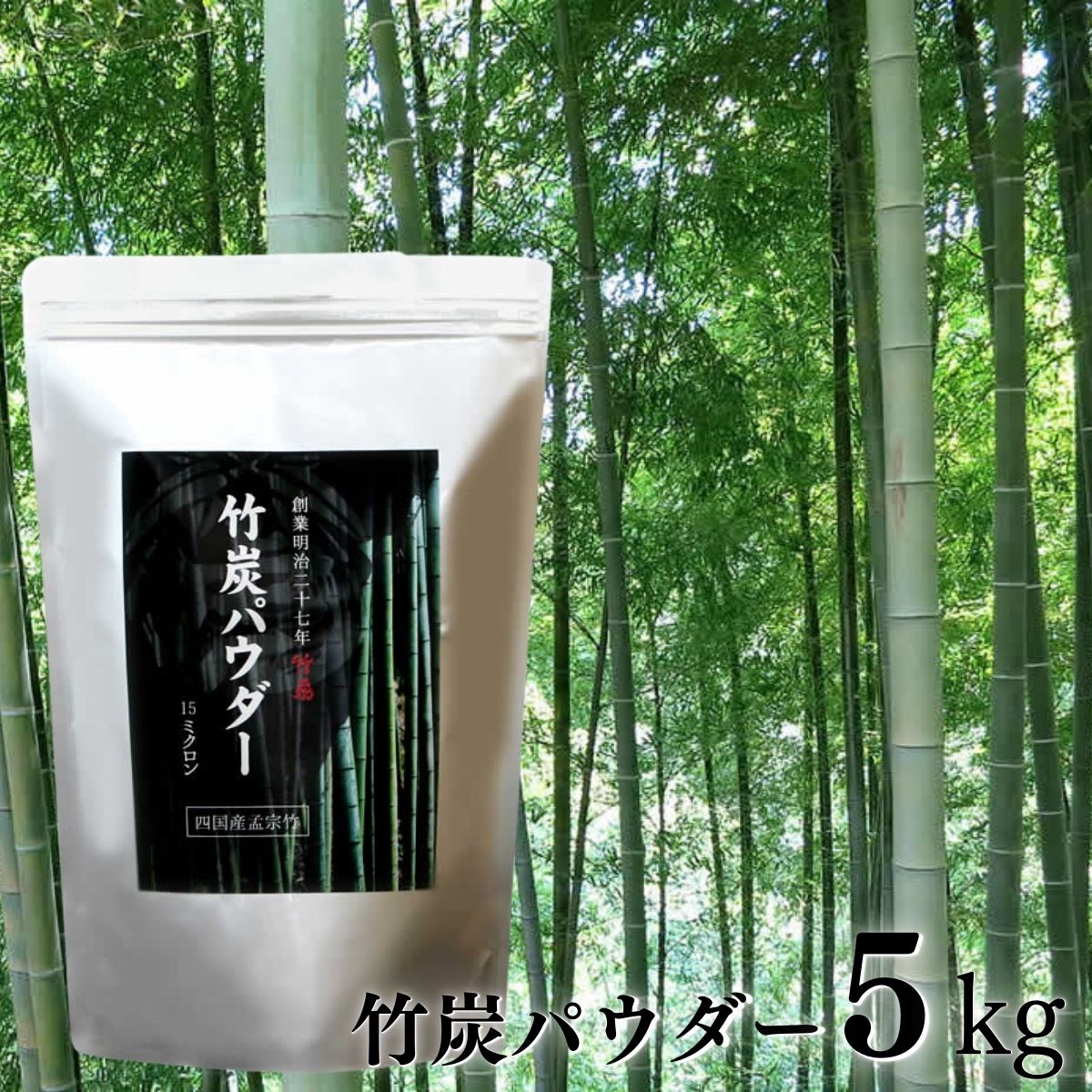 【ふるさと納税】 竹炭パウダー 竹炭 5kg デトックス ミネラル 竹炭粉