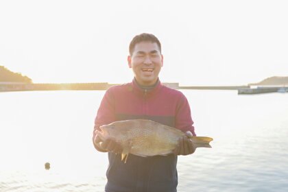 新鮮土佐魚の詰合せセットD