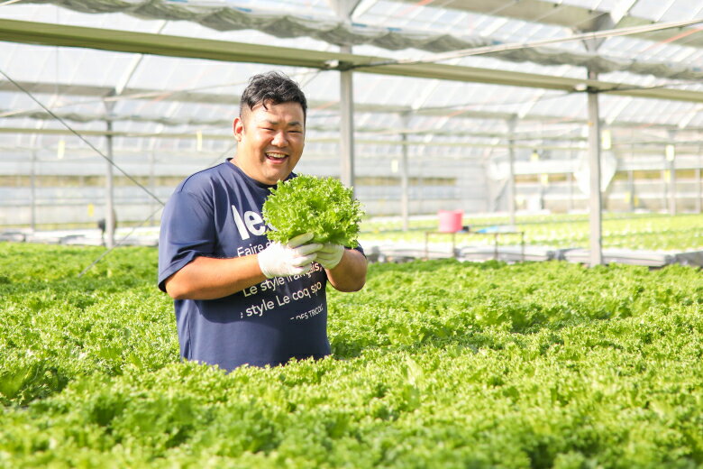 【ふるさと納税】おかけんふぁーむのリーフレタス(栽培期間中農薬不使用)