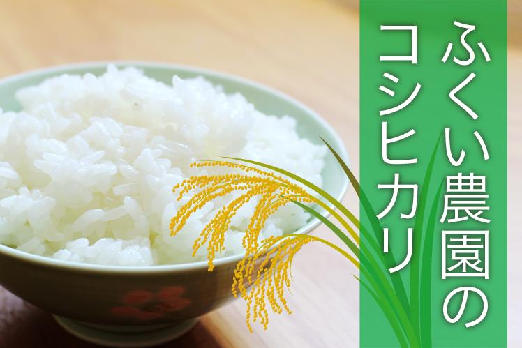[令和5年産]ふくい農園のおいしいお米(コシヒカリ10kg) 低温 貯蔵 酵素 有機質 肥料 贈答 精米 白米 玄米 プレゼント