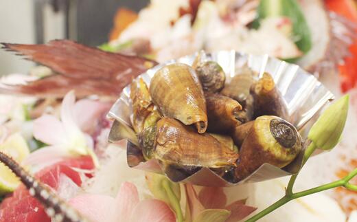 ڤդ뤵ǼǡۥХ鳭1.2kg