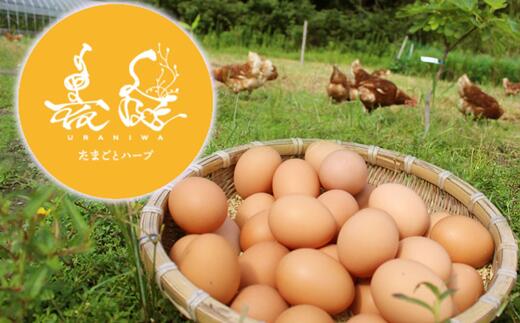 【ふるさと納税】放し飼い養鶏のたまご 10個入り 3パック