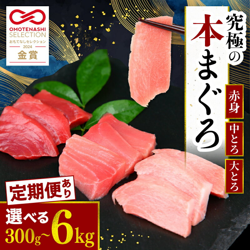【ふるさと納税】 定期便 あり 本マグロ 大トロ 中トロ 赤身 3種 セット 6kg 1kg 600g 500g 400g 300g...