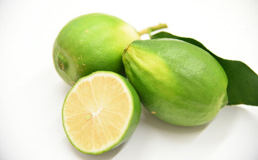 【ふるさと納税】なるた果樹園の家庭用グリーンレモン　3kgのサムネイル