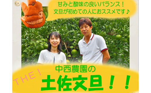 【ふるさと納税】中西農園の土佐文旦5kg家庭用のサムネイル