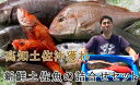 【ふるさと納税】 新鮮 土佐魚 詰合せ セットD 高知県産 鮮魚 海産物 魚介類 刺身 干物 煮魚 焼き魚 イカ タイ カツオ アジ サバ ブリ マグロ 地魚 ...