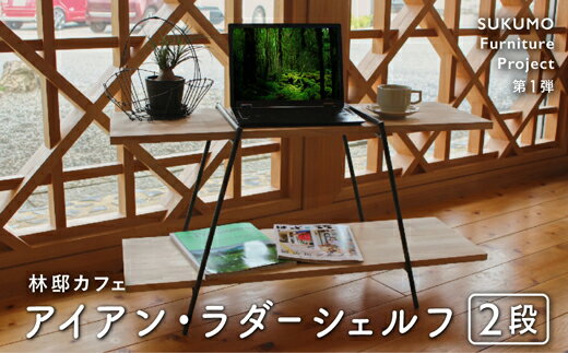 木製棚板のアイアン・ラダーシェルフ(ハシゴ棚・二段)