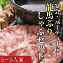 ★豪華！龍馬ぶりしゃぶセット！宴会・パーティーに！ ★満足の逸品 ★特製ゆずポン酢付き 匠が育てた龍馬ぶりをさっとお湯にくぐらせば、絶品のぶりしゃぶに。お鍋を用意し、流水解凍したブリを沸いただしにサッとくぐらしてお召し上がりください。 【内容】 龍馬ぶりしゃぶセット42切×1P(約420g)（5～6人前） ゆずポン酢150ml×1 原材料・原産地：ぶり（高知県産・養殖） 賞味期限：冷凍30日 解凍後はお早めにお召し上がりください。 アレルギー表示：小麦 2024年6月から発送 【事業者】 株式会社 匠の魚商 商品番号：123026 ・ふるさと納税よくある質問はこちら ・寄附申込みのキャンセル、返礼品の変更・返品はできません。あらかじめご了承ください。【ふるさと納税】龍馬ぶりしゃぶ5～6人前セット ★豪華！龍馬ぶりしゃぶセット！宴会・パーティーに！ ★満足の逸品 ★特製ゆずポン酢付き 匠が育てた龍馬ぶりをさっとお湯にくぐらせば、絶品のぶりしゃぶに。お鍋を用意し、流水解凍したブリを沸いただしにサッとくぐらしてお召し上がりください。 賞味期限：冷凍30日 解凍後はお早めにお召し上がりください。 事業者：株式会社 匠の魚商 商品番号：123026 召し上がった方より、嬉しいご感想をいただいております 「ふるさと納税」寄付金は、下記の事業を推進する資金として活用してまいります。 寄付を希望される皆さまの想いでお選びください。 (1) 未来を担うひとづくり事業 (2) 豊かな文化とからだを育むまちづくり事業 (3) みどりと自然あふれるまちづくり事業 (4) 活力のあるまちづくり事業 (5) 市長が必要と認める事業(お任せ事業) （令和6年4月及び5月の寄附に関しましては、令和6年4月17日に発生した地震の影響を鑑み、災害復旧支援等に活用します。） 特徴のご希望がなければ、市政全般に活用いたします。 入金確認後、注文内容確認画面の【注文者情報】に記載の住所にお送りいたします。 発送の時期は、寄附確認後2ヵ月以内をを目途に、お礼の特産品とは別にお送りいたします。