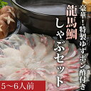 【ふるさと納税】龍馬鯛しゃぶ5~6人前セット