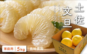 【ふるさと納税】 島崎農園 土佐文旦 5kg 家庭用 文旦 特産品 柑橘 果物 フルーツ 贈答用 ギフト 贈り物 お歳暮 お中元 文旦 ぶんたん ブンタン 柚子 ゆず 高知県産 産地直送 旬 冬 甘い 酸味 さっぱり 美味しい 新鮮 果汁 ビタミンC 健康 宿毛市 8000円