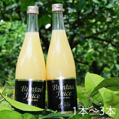成田果樹園 文旦ジュース 720ml 1本〜3本 限定セット